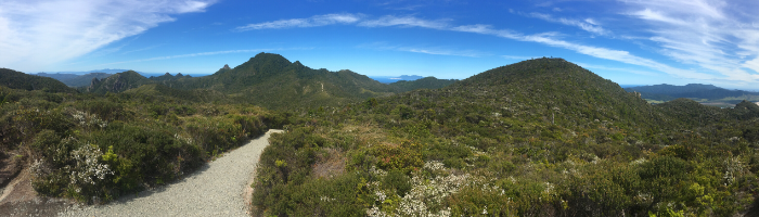 WALKS, HIKING, AND HUTS ON GREAT BARRIER ISLAND